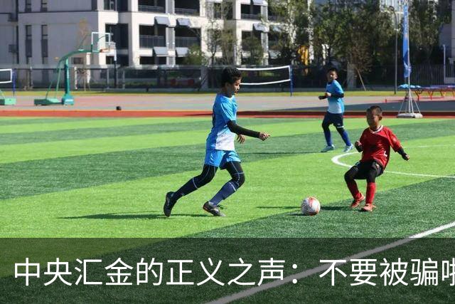 中央汇金的正义之声：不要被骗啦！