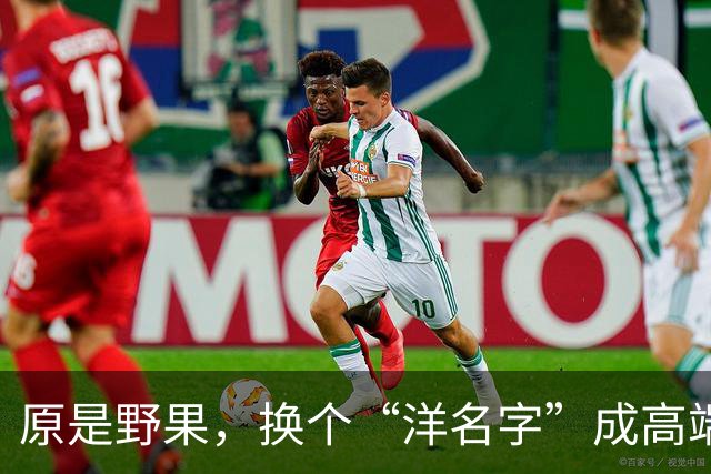 原是野果，换个“洋名字”成高端水果，涨至30元1斤，吃不起了