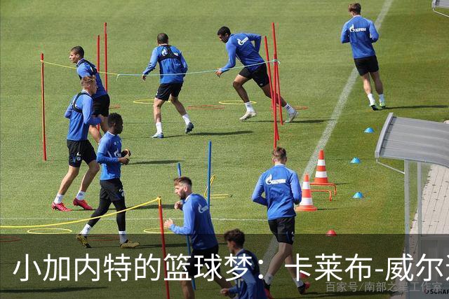 小加内特的篮球梦：卡莱布-威尔逊的无限潜力